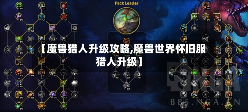 【魔兽猎人升级攻略,魔兽世界怀旧服猎人升级】-第2张图片