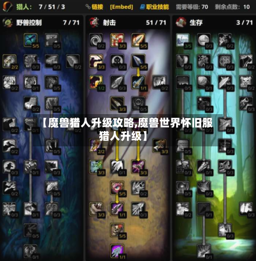 【魔兽猎人升级攻略,魔兽世界怀旧服猎人升级】-第3张图片