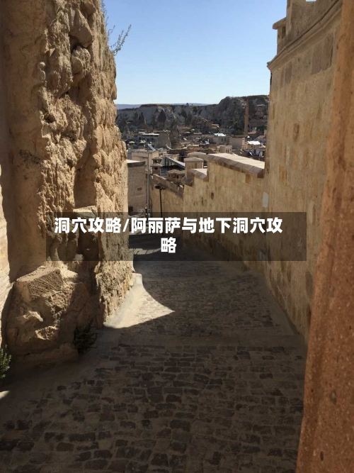 洞穴攻略/阿丽萨与地下洞穴攻略