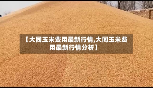 【大同玉米费用最新行情,大同玉米费用最新行情分析】