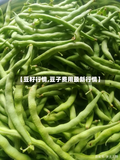 【豆籽行情,豆子费用最新行情】-第3张图片