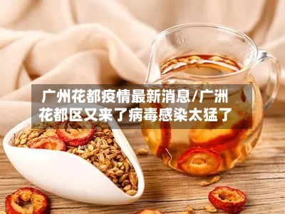 广州花都疫情最新消息/广洲花都区又来了病毒感染太猛了