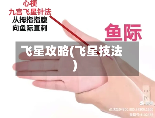 飞星攻略(飞星技法)