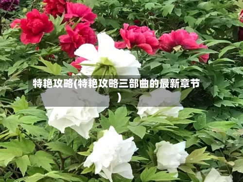 特艳攻略(特艳攻略三部曲的最新章节)-第2张图片