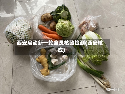 西安启动新一轮全员核酸检测(西安核成)