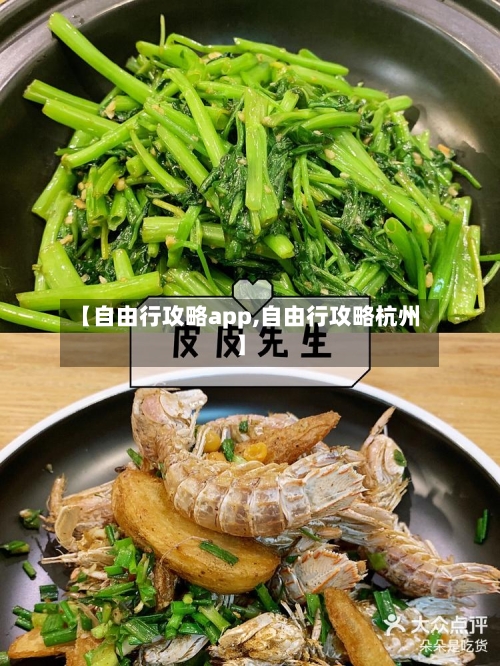 【自由行攻略app,自由行攻略杭州】-第3张图片