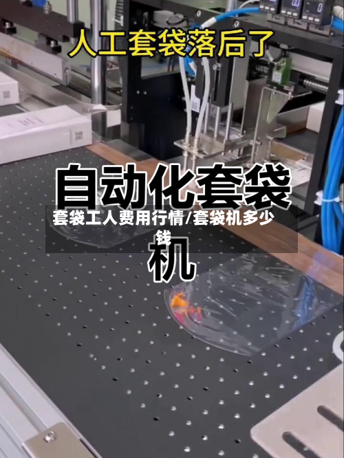 套袋工人费用行情/套袋机多少钱-第2张图片