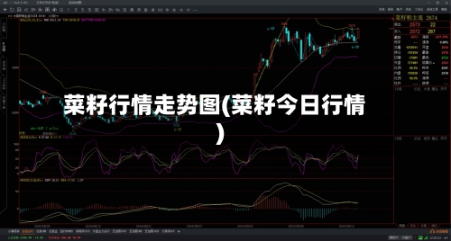 菜籽行情走势图(菜籽今日行情)