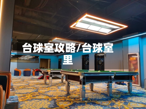 台球室攻略/台球室里-第2张图片