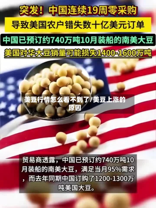 美豆行情怎么看不到了/美豆上涨的原因-第2张图片