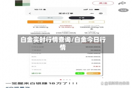 白金实时行情查询/白金今日行情