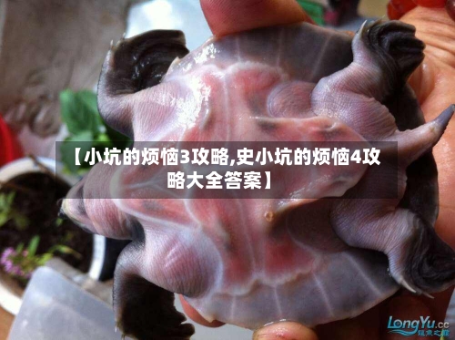 【小坑的烦恼3攻略,史小坑的烦恼4攻略大全答案】-第2张图片
