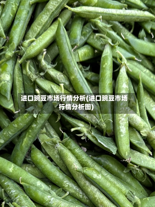 进口豌豆市场行情分析(进口豌豆市场行情分析图)-第2张图片