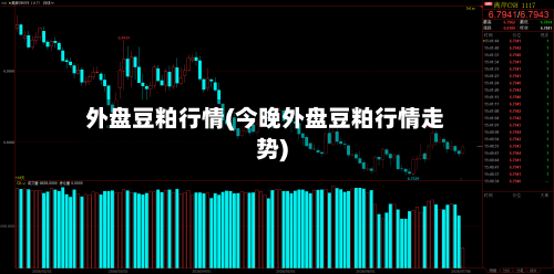 外盘豆粕行情(今晚外盘豆粕行情走势)-第2张图片