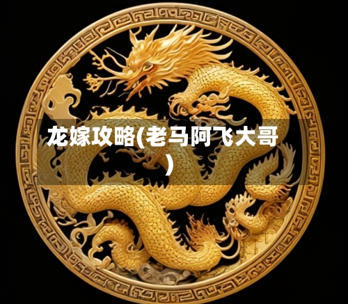 龙嫁攻略(老马阿飞大哥)