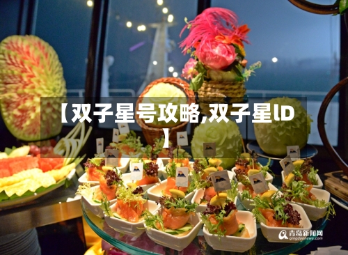 【双子星号攻略,双子星lD】-第3张图片