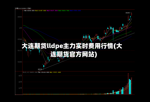 大连期货lldpe主力实时费用行情(大连期货官方网站)