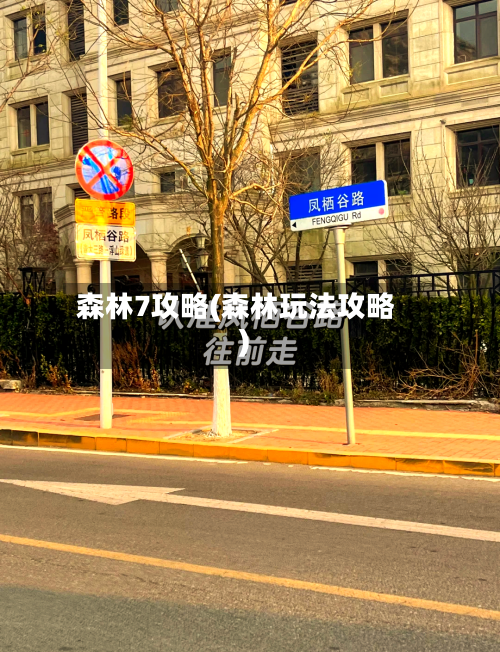 森林7攻略(森林玩法攻略)