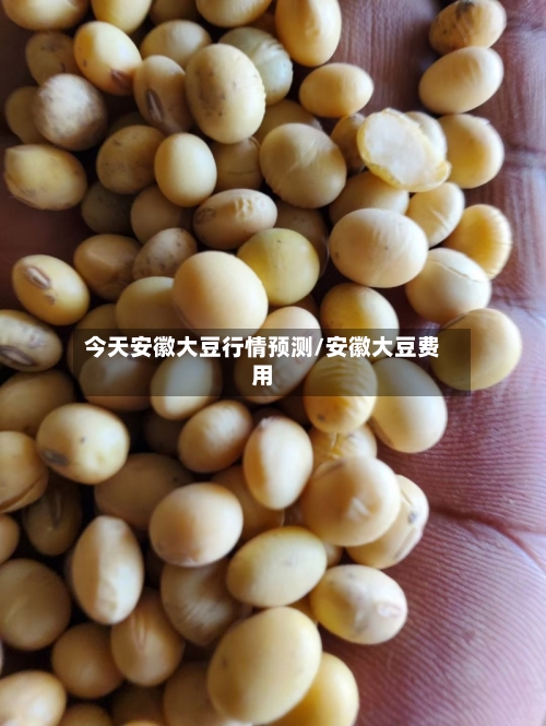 今天安徽大豆行情预测/安徽大豆费用-第2张图片