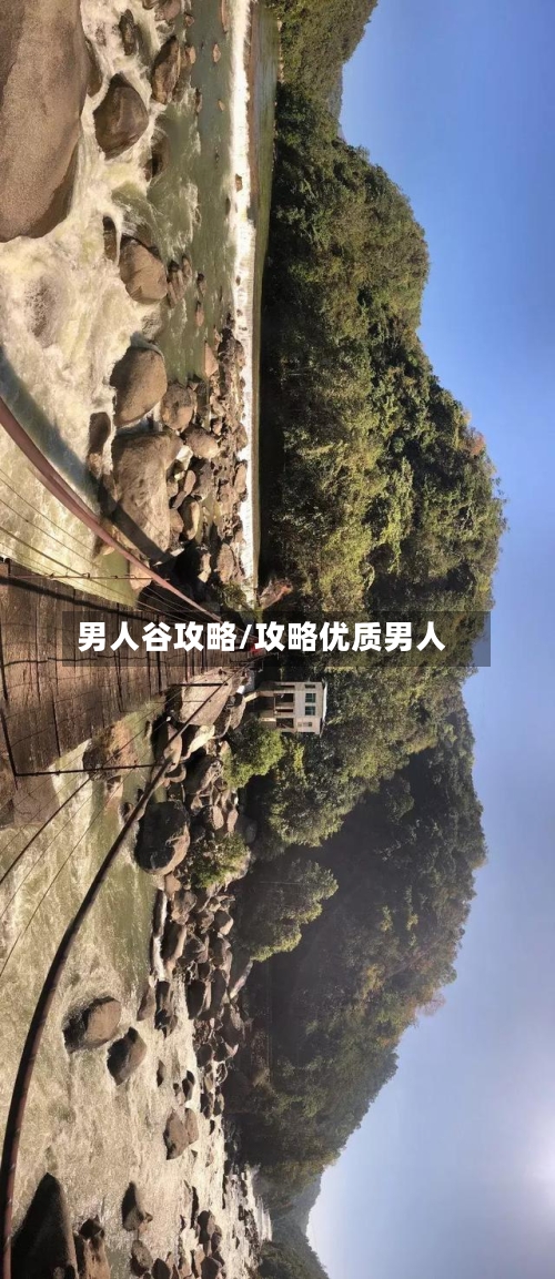 男人谷攻略/攻略优质男人
