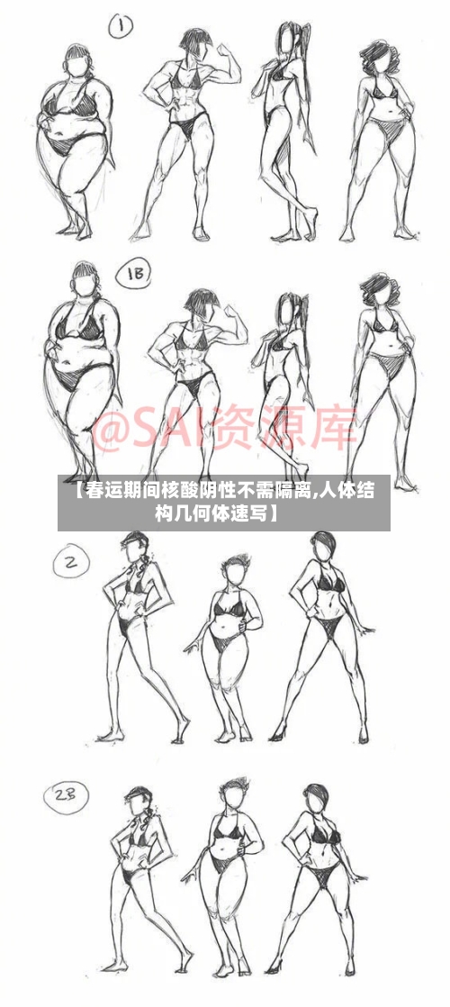 【春运期间核酸阴性不需隔离,人体结构几何体速写】