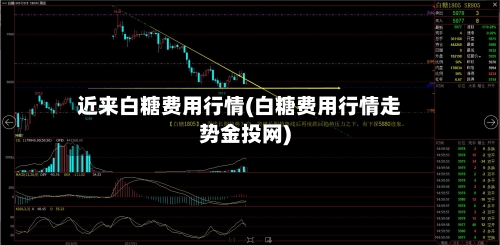 近来白糖费用行情(白糖费用行情走势金投网)-第2张图片