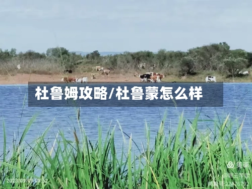 杜鲁姆攻略/杜鲁蒙怎么样-第3张图片
