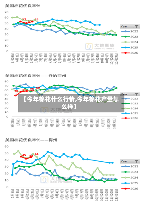 【今年棉花什么行情,今年棉花产量怎么样】