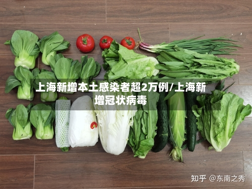 上海新增本土感染者超2万例/上海新增冠状病毒-第2张图片