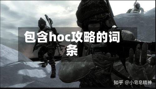 包含hoc攻略的词条-第3张图片