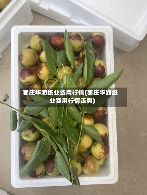 枣庄华润纸业费用行情(枣庄华润纸业费用行情走势)-第2张图片