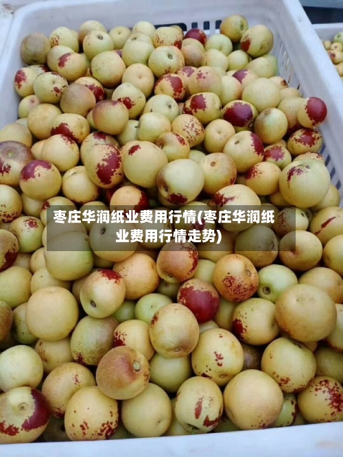 枣庄华润纸业费用行情(枣庄华润纸业费用行情走势)