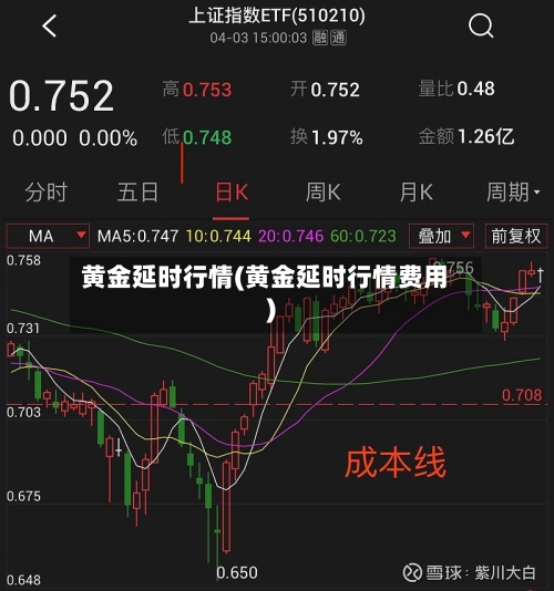 黄金延时行情(黄金延时行情费用)-第2张图片