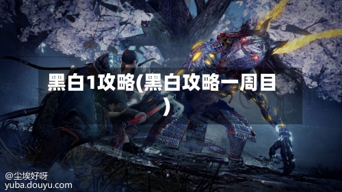 黑白1攻略(黑白攻略一周目)