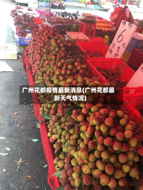广州花都疫情最新消息(广州花都最新天气情况)