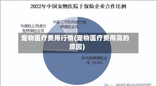 宠物医疗费用行情(宠物医疗费用高的原因)