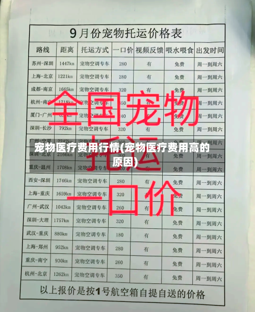 宠物医疗费用行情(宠物医疗费用高的原因)-第2张图片