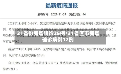 31省份新增确诊25例/31省区市新增确诊病例12例