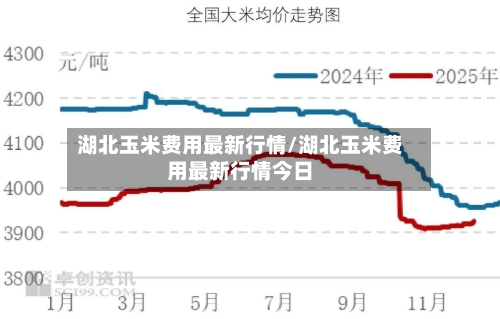 湖北玉米费用最新行情/湖北玉米费用最新行情今日