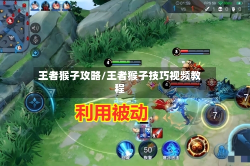 王者猴子攻略/王者猴子技巧视频教程