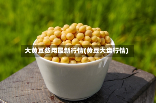 大黄豆费用最新行情(黄豆大盘行情)