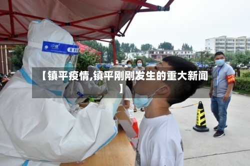 【镇平疫情,镇平刚刚发生的重大新闻】-第3张图片