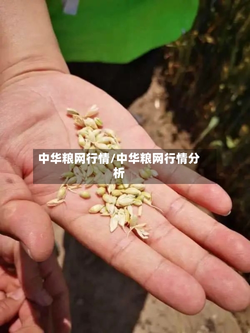 中华粮网行情/中华粮网行情分析-第3张图片