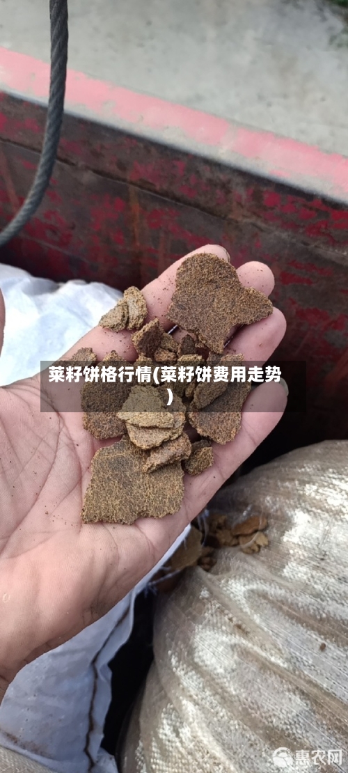 莱籽饼格行情(菜籽饼费用走势)-第2张图片
