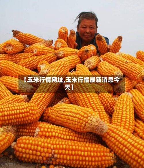【玉米行情网址,玉米行情最新消息今天】