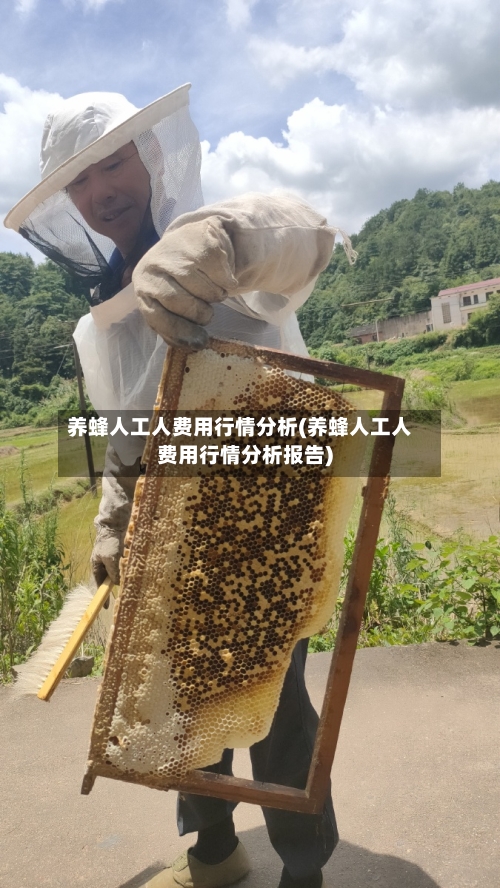 养蜂人工人费用行情分析(养蜂人工人费用行情分析报告)-第3张图片