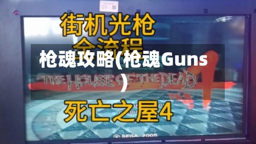 枪魂攻略(枪魂Guns)-第2张图片