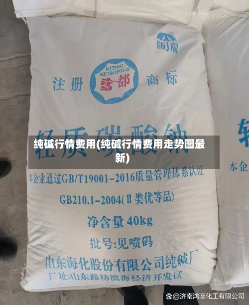 纯碱行情费用(纯碱行情费用走势图最新)