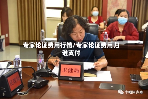 专家论证费用行情/专家论证费用归谁支付