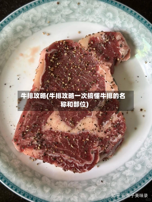 牛排攻略(牛排攻略一次搞懂牛排的名称和部位)-第2张图片